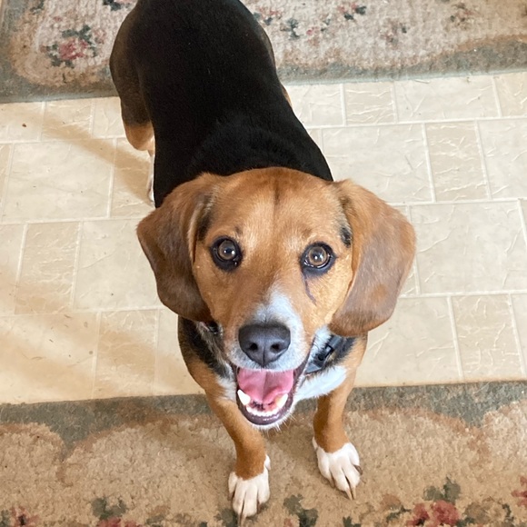 Meet your Posher, Ane - Picture 12 of 16